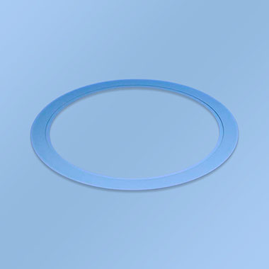 edge ring cvd sic w si coating